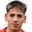 F. Villarreal